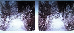 Stereoscopic Photo Plate Photography Spain circa 1930