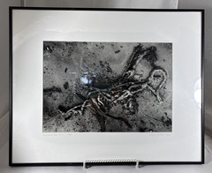 Karen Twiss Krider Signed Photography Limited Edition 1/50 Print Hemp Bird Art