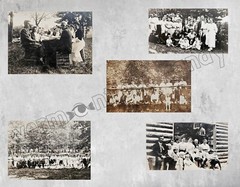 Antique Photos Set of 5 of Family Reunions in the Outdoors DIGITAL DOWNLOAD