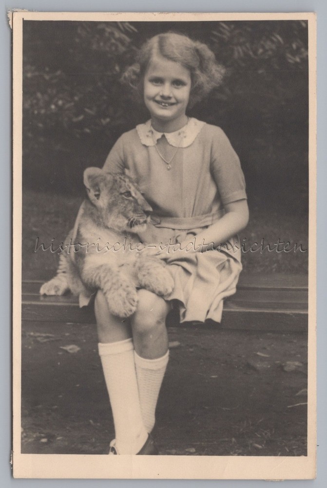 Girl with Small Tiger on Lap at Leipzig Zoo 1953 – Old Photo 1950s