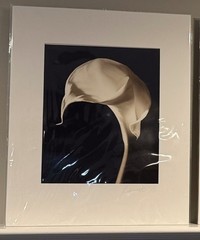 VINTAGE Signed Henry Barnard Calla Lily Swirl Sepia Photograph Gelatin on Paper