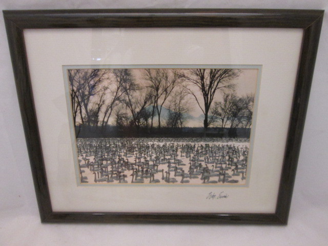 Natural Imagery Signed Photograh by William Ervin «A Gathering of Swans» Framed