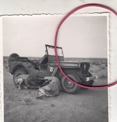 PHOTO PHOTO CAR AUTOMOBILES JEEP VEHICLE BREAKDOWN