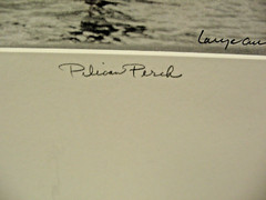 ART PHOTOGRAPHY 16×20 Pelican Perch B&W A/P Matte Acid Free by Larry Santucci