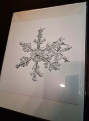MIKE & DOUG STARN TWINS ‘Sno6_034.1 (Snowflake)’, 2005 SIGNED Photograph **NEW**