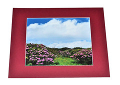 «Craggy Gardens, NC» by American Artist LENG 1/1 Signed Photograph Proof
