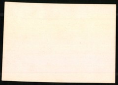 Photograph German South West Africa / Namibia, killed Riedbock