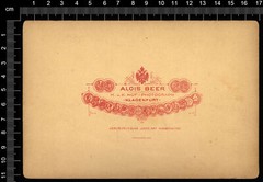 Cabinet-Photo-Weissenfelder-See-Laghi di Fusine-Alois Beer-Klagenfurth-1885-3