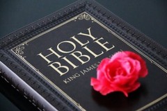 Digital Image Picture Photo Pic Wallpaper Background Pink Rose On Bible 8888