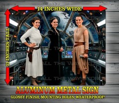 Princess Leia – Queen Amidala – Rey Skywalker Star Wars Metal Sign Art 14×11″