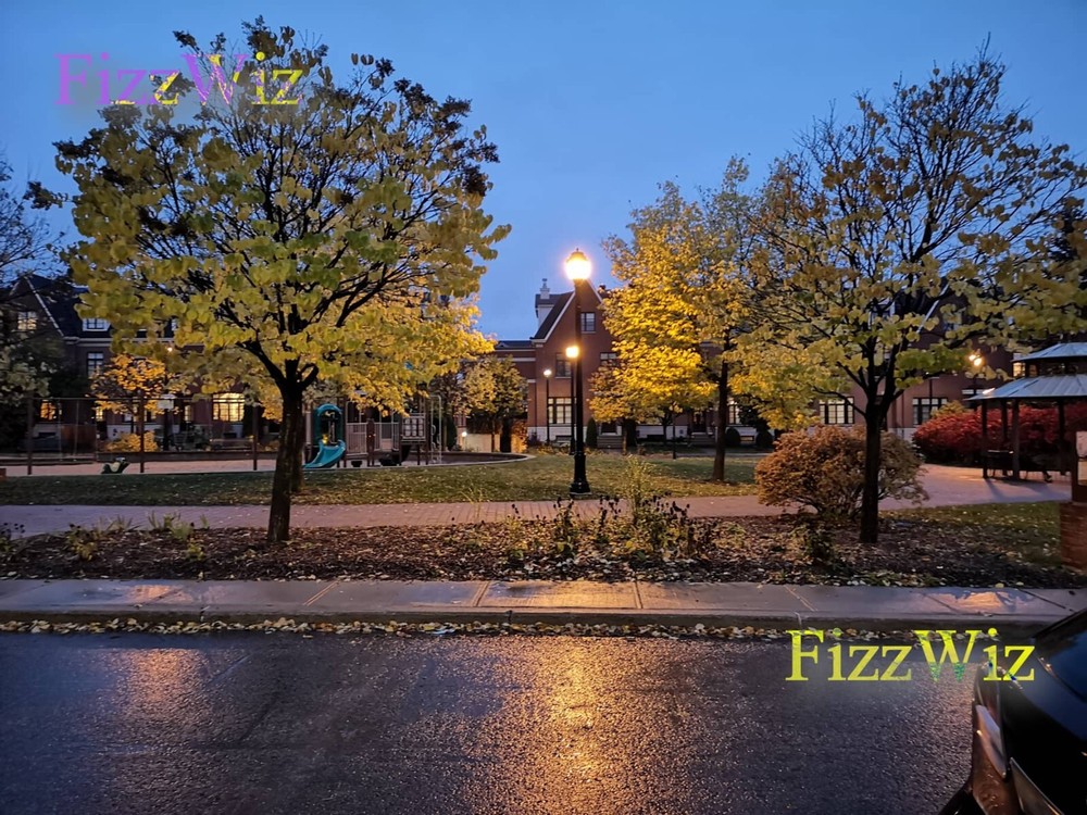 Fall Night Art Digital Image Picture Photo Wallpaper – Instant Delivery