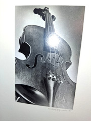 5 Gelatin Silver Fine Art Photography 1978 Signed Darkroom Prints OOAK 8×10 COA
