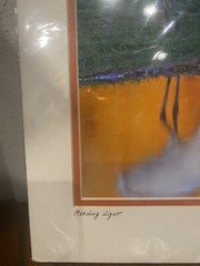 John Martell Art Photograph Print Matted Signed “ Morning Light” Whooping Crane