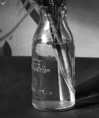 still life w flowers, unusual, Eduard PEZDIKA, vintage fine art negative! 1935,