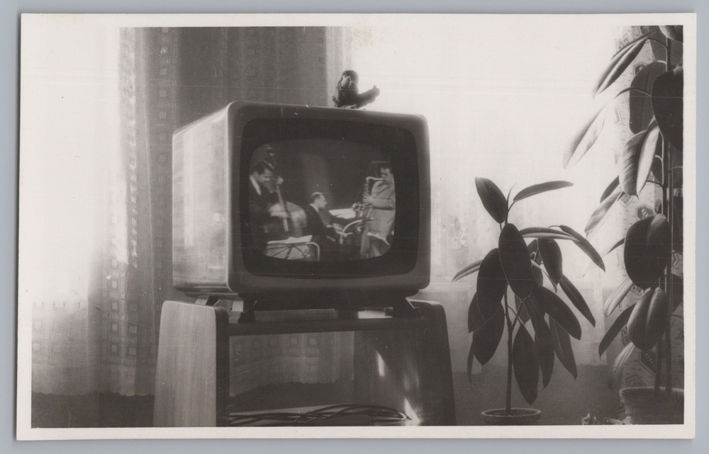 Tube TV Apartment Band Music Saxophone Rubber Tree – Vintage Photo 1960s