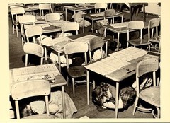 Cold War In The Classroom, NYC 1951 Fotofolio Art Photo Print Card 4.25”x6”