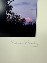 Patricia McGrady Photography – “Two Trees” – Gorgeous Art