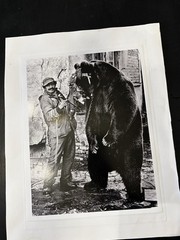 Jacko Vassilev-Silver Gel Print-Award Winning Photographer-«Dancing Bear» SIGNED