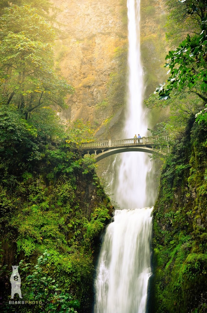Multnomah Falls – Columbia River Gorge – Oregon Waterfalls – PNW Décor