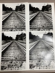 16 Prints black and white photography art Railroad Nature 8x10s
