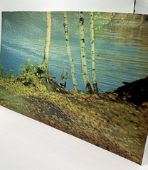 Helmscene Partial Pictures (3pcs) for Craft or Your own Lighted picture Frame