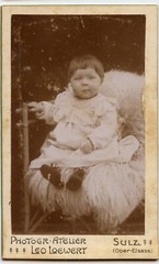 Lot 7 Studio Portraits CDV Children – Old Photos 19th century