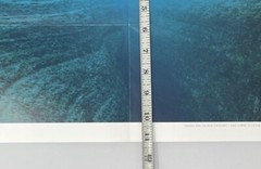 Noguchi Rika (b. 1971) Art Announcement Card / Fold Out Poster Print 2005