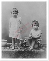 1904 Children On Chamber Pot With Toy Dog 8 x 10 Silver Halide Photo