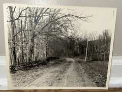 Arthur Gray Standard Oil Photographer Cleveland Ohio Americana Forrest Landscape