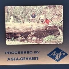 Lot Of 40 1970’s Agfachrome San Francisco California Vacation 35mm Color Slides