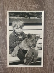 Photo old antique animal boy tiger animal nice old photo fashion Berlin