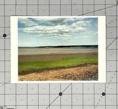 Frank DiPerna (1947-2020) Art Announcement Card Sep. 2000 The Landscape