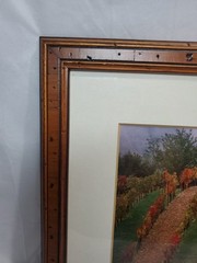 Signed Framed Photograph Vinyard In Chianti 1999 14″x17.5″ As Pictured