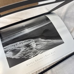 Ansel Adams Birds on a Beach Evening Framed Framed 1966 Photo 12×14 Wall Art VTG