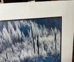 Carl R Sams – Limited Edition – Signed/Numbered – Winter Forest Landscape