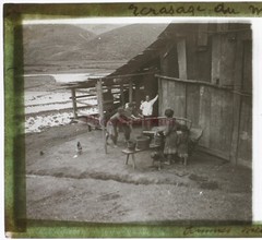 Vietnam Crush The Corn Photo c1910 Plate De Verre n1 Stereo Vintage