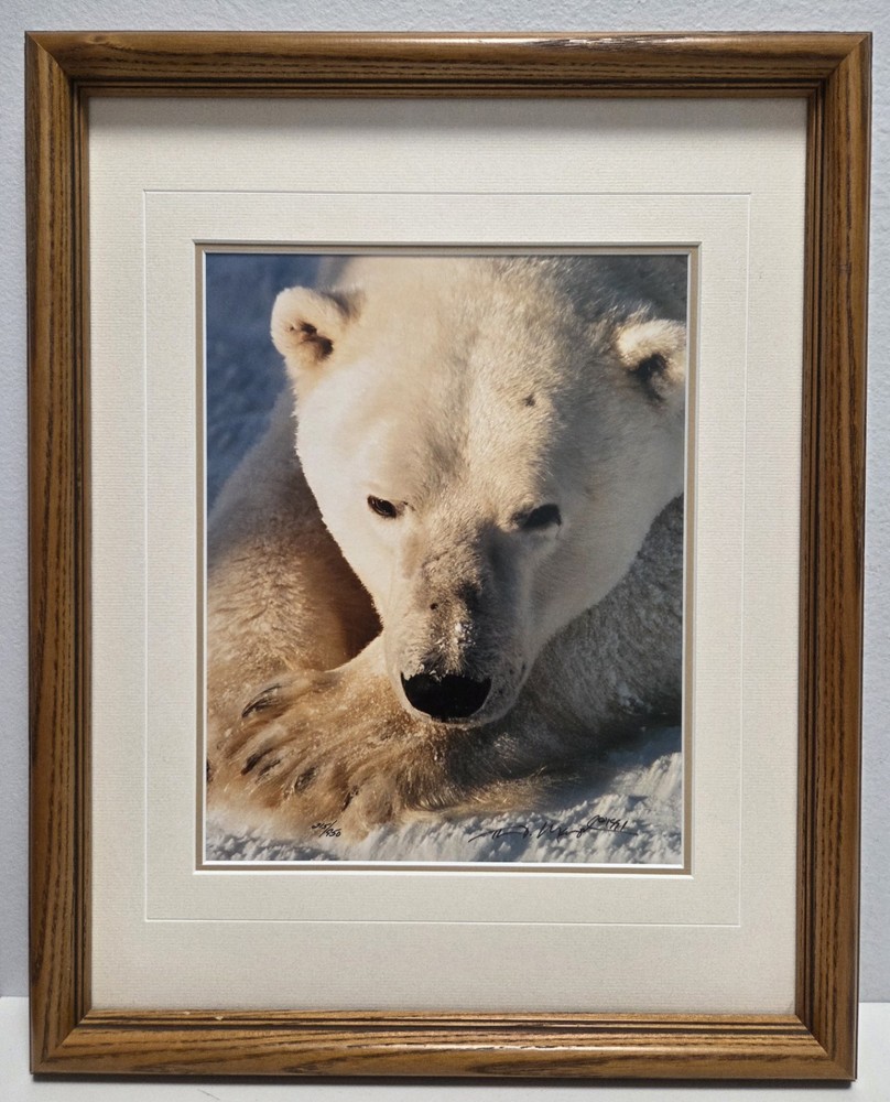Thomas D. Mangelsen’s «Cool Hand Luke» Polar Bear, 215/950, Signed & Framed