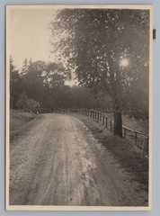 Road between Peißenberg and Böbing 1949 – Old Photo 1940s