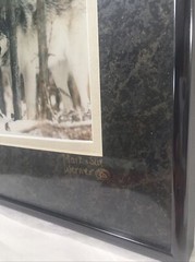 Gray Wolf Framed 4×6 Photograph Signed Numbered #309 Werner 8 X 10 Frame