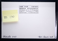 Boris Starosta 3D Stereoview – Michelle A-63 – nude model signed 2008 #170