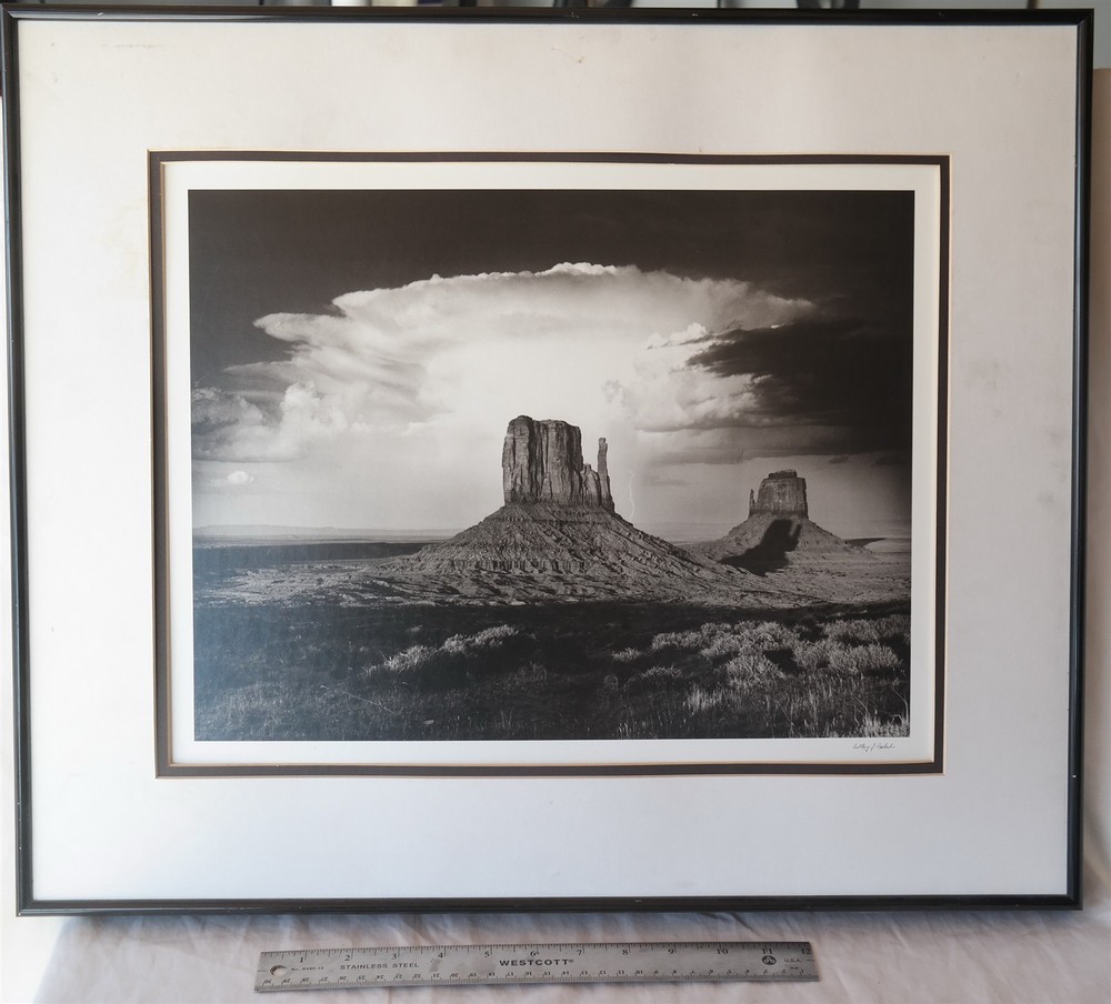 Mittens & Thundercloud by Anthony Beckesh 20 x 23 1/2″ B&W Photograph (READ)