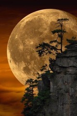 Peter Lik MOONLIT DREAMS 1.5M (71″x51″) Dark Walnut Frame – #895/950 – SOLD OUT