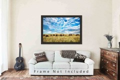 Buffalo Herd Photography Print Bison Picture Oklahoma Photo Western Decor