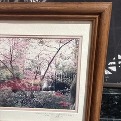 Cherry Blossom Photo Limited Edition # 4/89 Hand Signed Framed 16 1/2”x 13 1/2