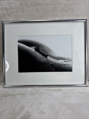 ALLAN TEGER “Rafting”, ‘06 Bodyscapes LE 48/500 SIGNED Photograph Framed 14×11