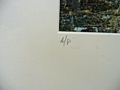 MATTED PHOTOGRAPHY Fort on Water with Tree By Larry Santucci 2009 Acid Free