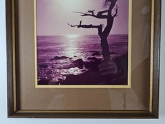 ART – VTG Original Signed Karl Bonfert 35mm Photograph CA 21.25×17.25 Framed Art