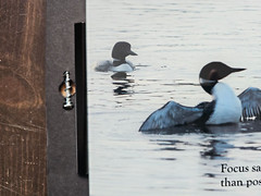 DODGEZEN MOMENTS IN TIME EDITION MY PHOTOGRAPHS PRINTED ON GLASS. INSPIRATIONAL