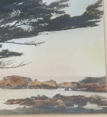 Vtg Gibson Hand Tint Oil Color Photo The Sentinal Cypress Tree 12.75”x11.3/8” VG