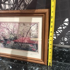 Cherry Blossom Photo Limited Edition # 4/89 Hand Signed Framed 16 1/2”x 13 1/2